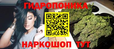 ГАЛЛЮЦИНОГЕННЫЕ ГРИБЫ Кулебаки