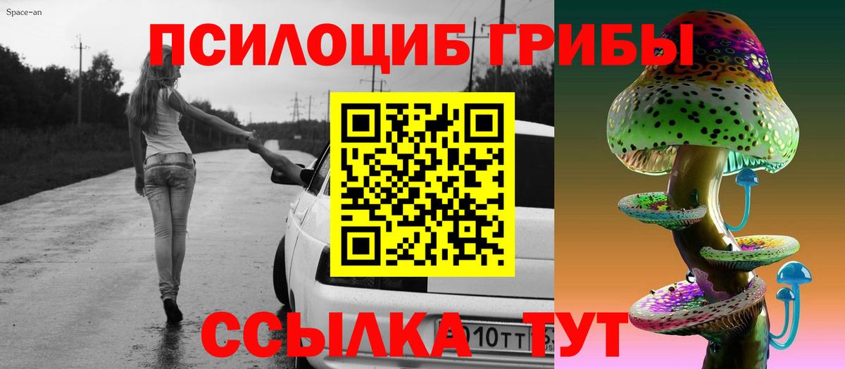 Галлюциногенные грибы прущие грибы Губаха