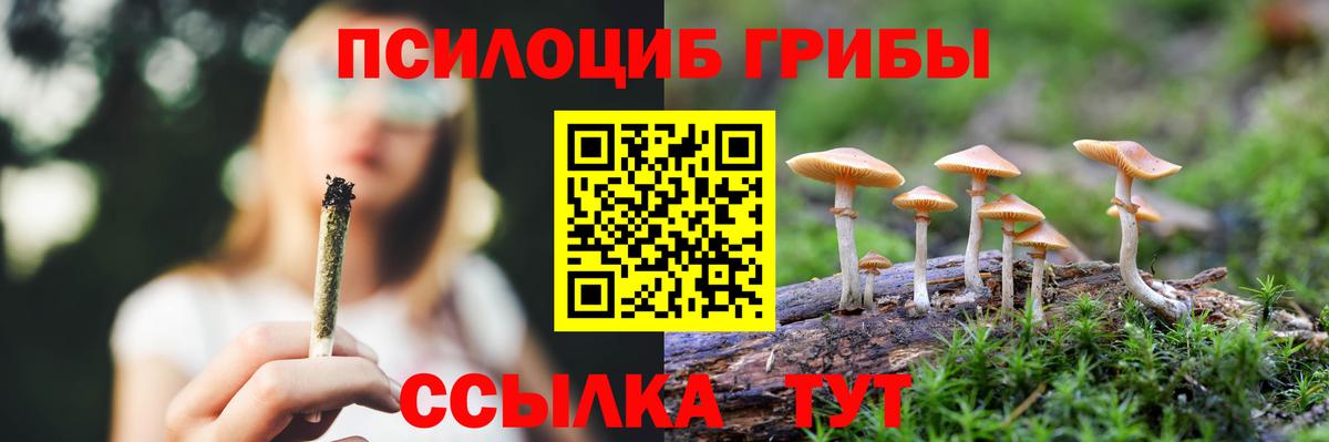 Губаха  Галлюциногенные грибы MAGIC MUSHROOMS  Вход с VPN 